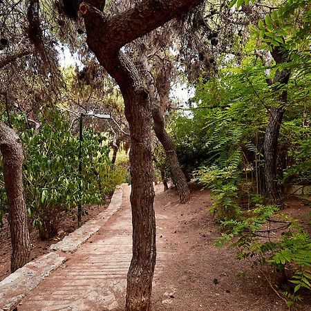 Myth2 - Hike Around Ancient Panathenaic Stadium Near Metro With View Of Big Park Apartment Exterior photo